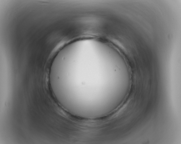 X0000114241355200910091500