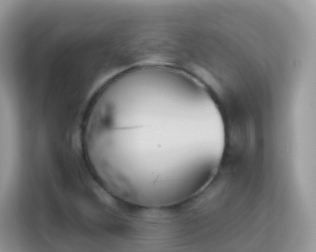 X0000114241356200910091500
