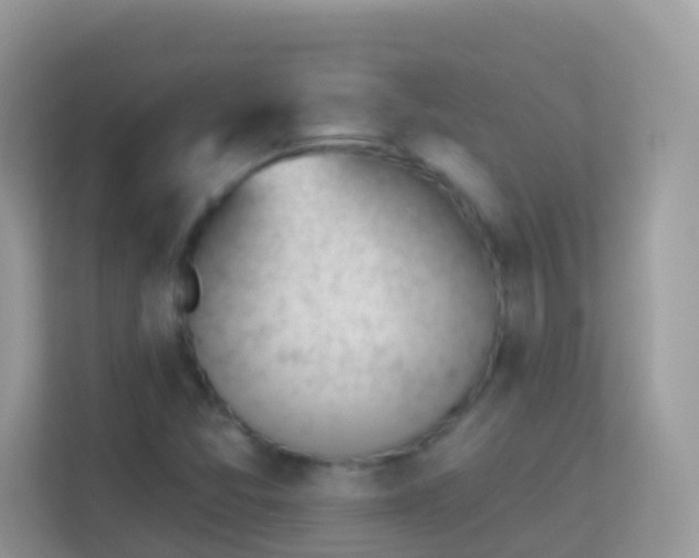 X0000114241357200910091500