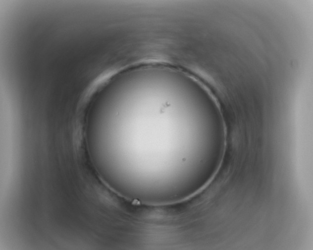 X0000114241359200910091500