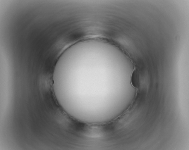 X0000114241361200910091500