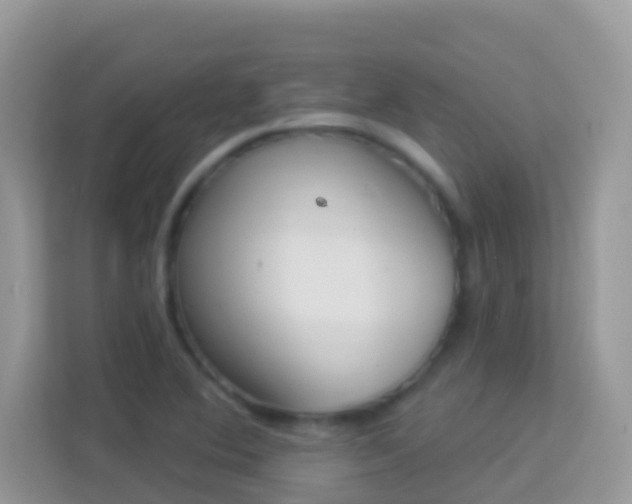 X0000114241364200910091500