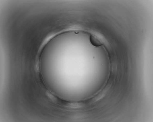 X0000114241366200910091500