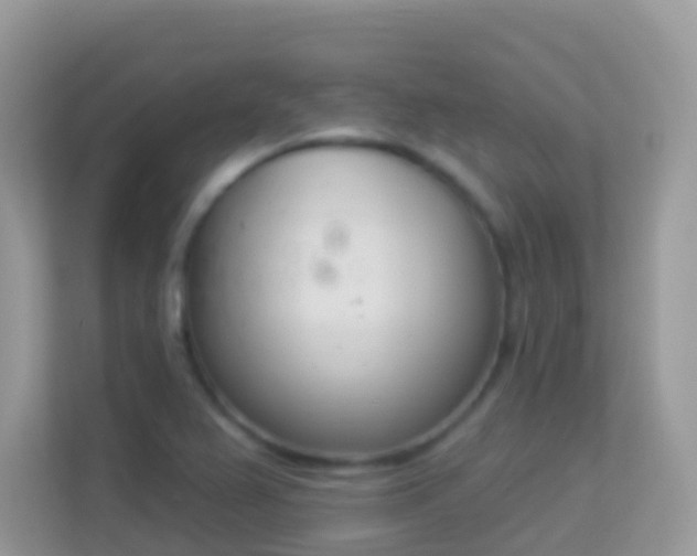 X0000114241367200910091500