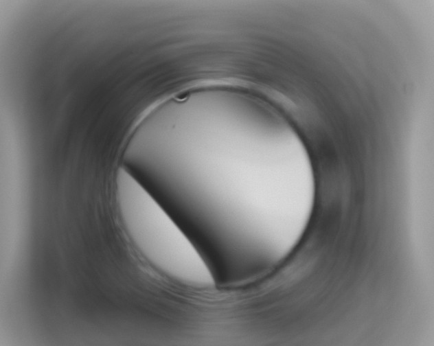 X0000114241369200910091500