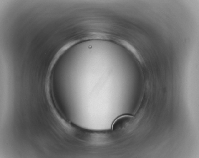 X0000114241379200910091500