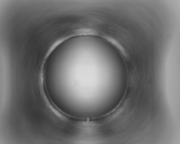X0000114241383200910091500