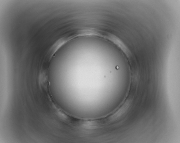 X0000114241385200910091500