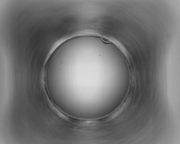 X0000114241390200910091500