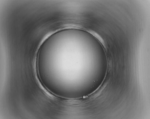 X0000114241391200910091500