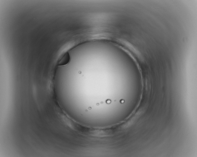 X0000114241405200910091459