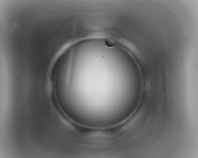 X0000114241414200910091459