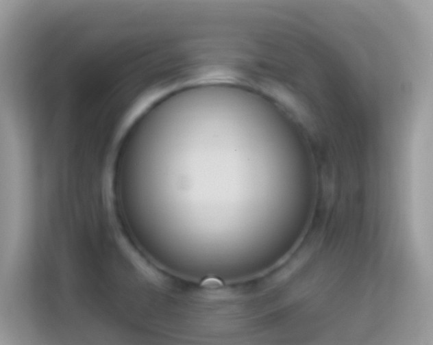X0000114241422200910091459