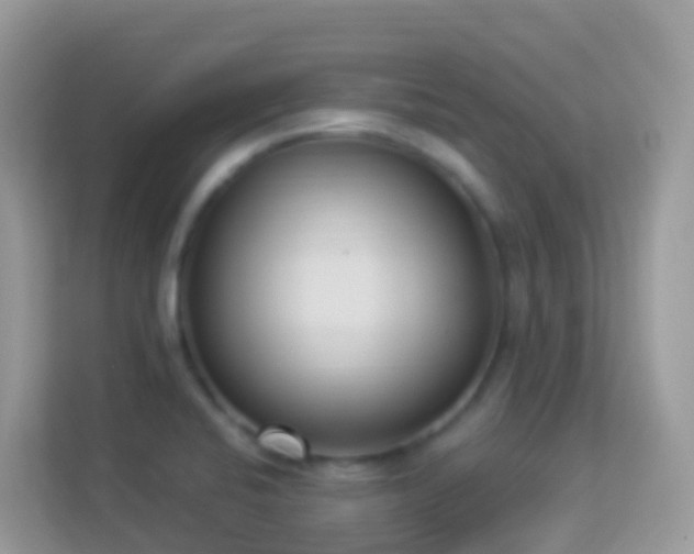 X0000114241424200910091459