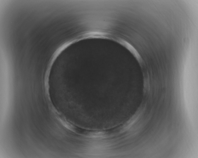 X0000114241435200910091500