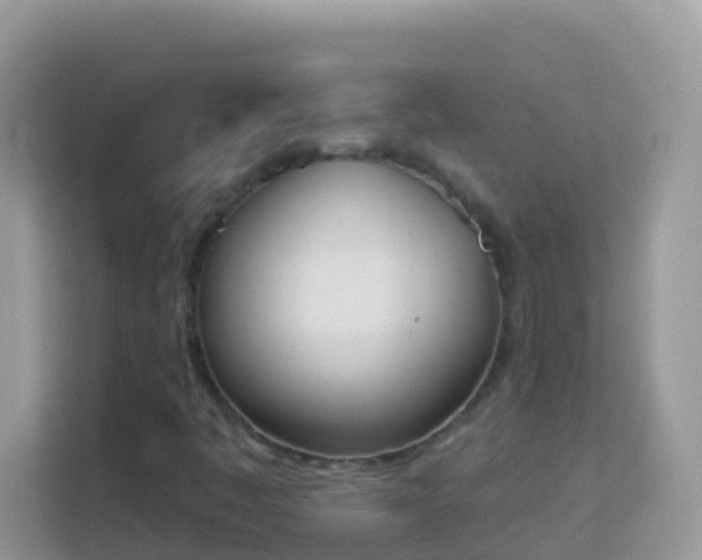 X0000114241445200910091459