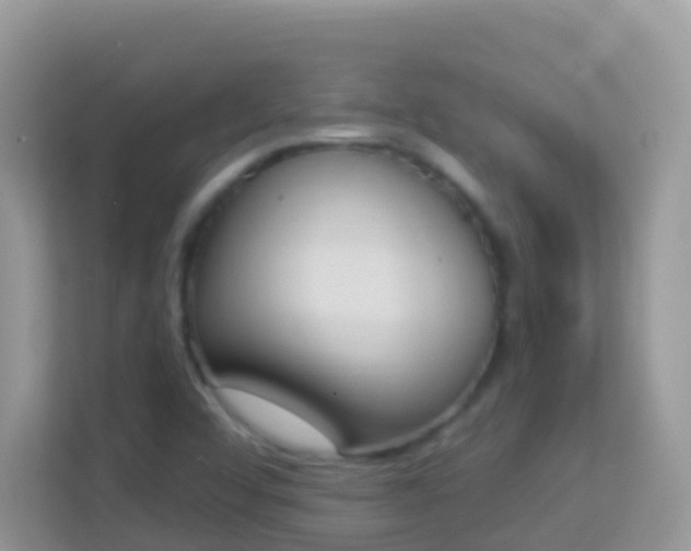 X0000114241456200910091459