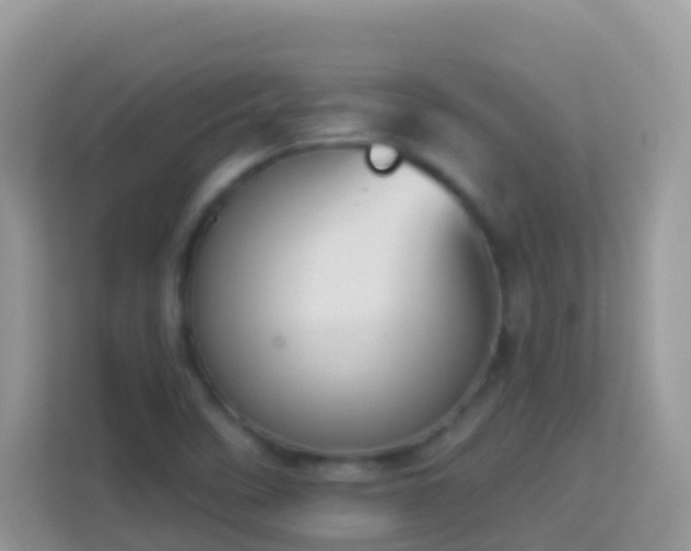 X0000114241458200910091459