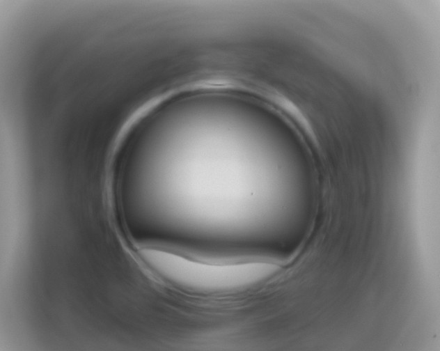 X0000114241464200910091459