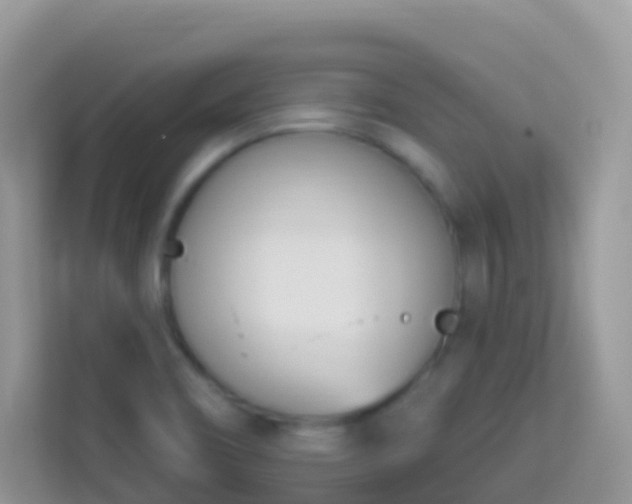 X0000114241466200910091459