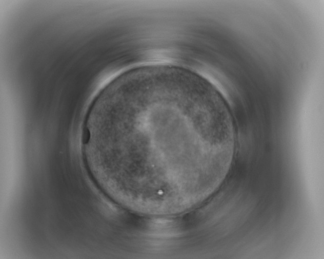 X0000114241477200910091458