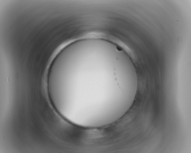 X0000114241478200910091458