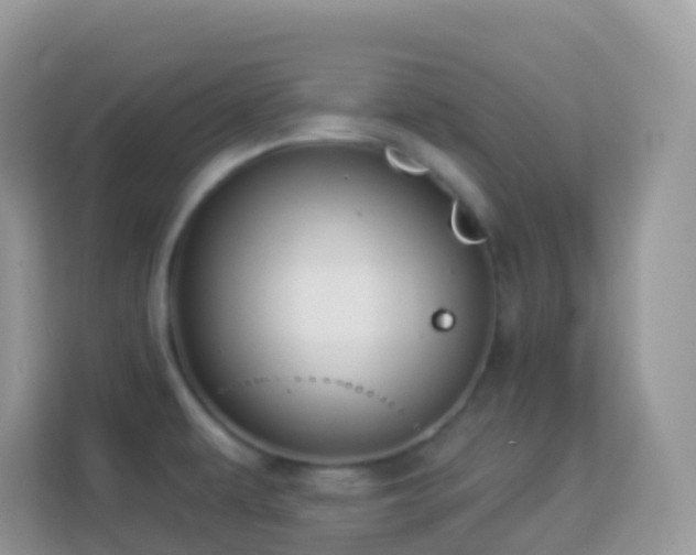 X0000114241479200910091458