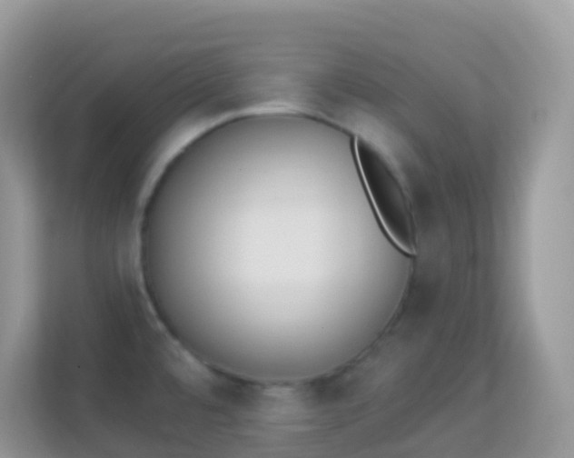 X0000114241480200910091458