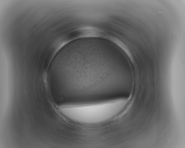 X0000114241481200910091458