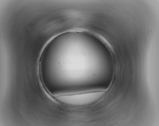 X0000114241484200910091458