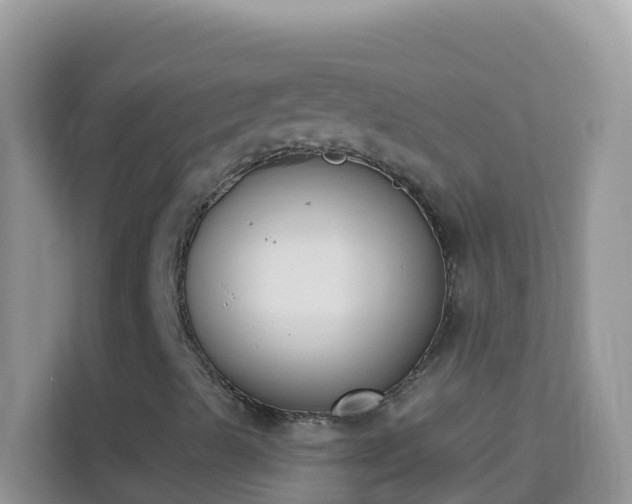 X0000114241489200910091458