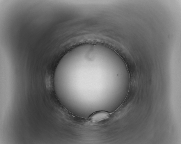 X0000114241490200910091458