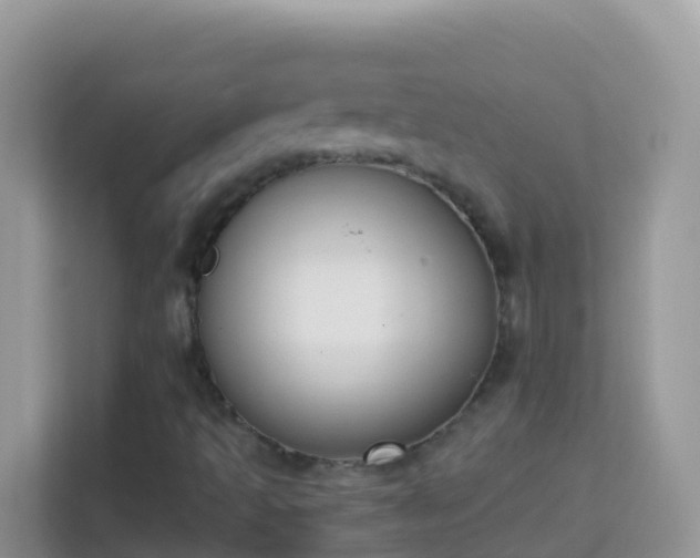 X0000114241493200910091458