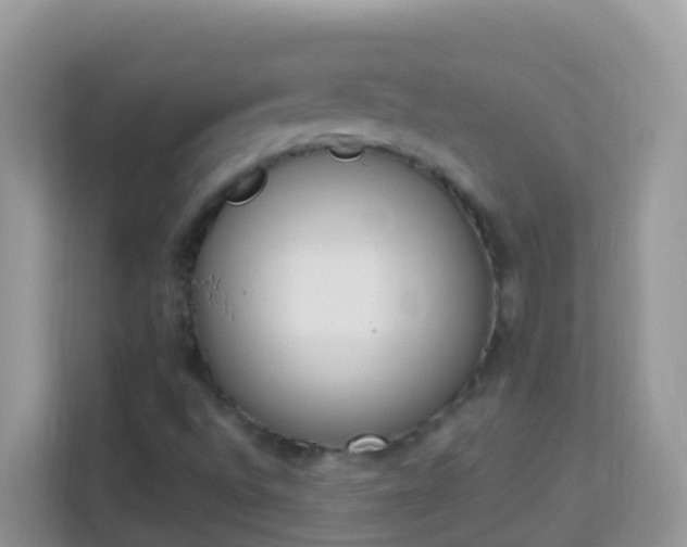 X0000114241496200910091458