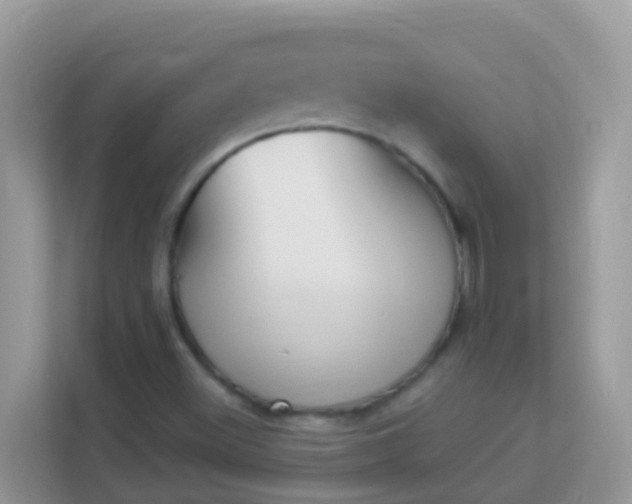 X0000114241500200910091458