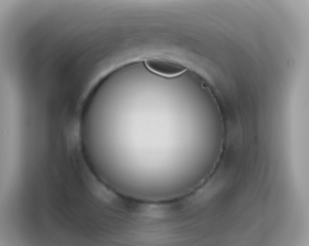 X0000114241506200910091458