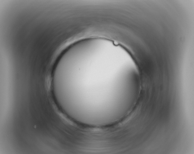 X0000114241507200910091458