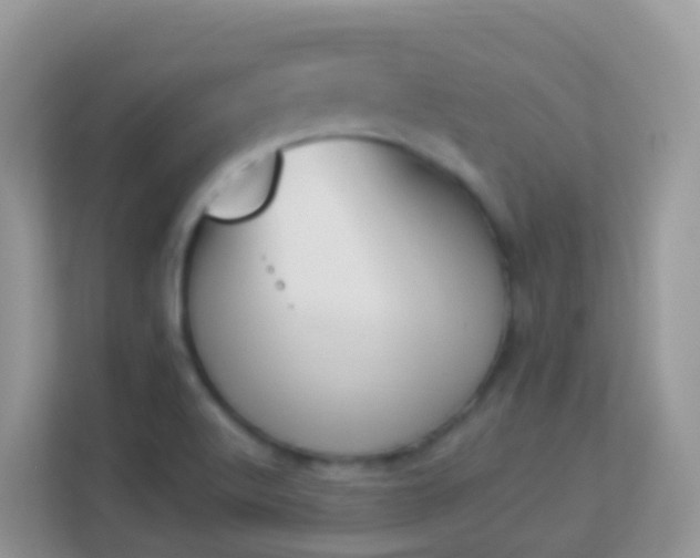 X0000114241512200910091458
