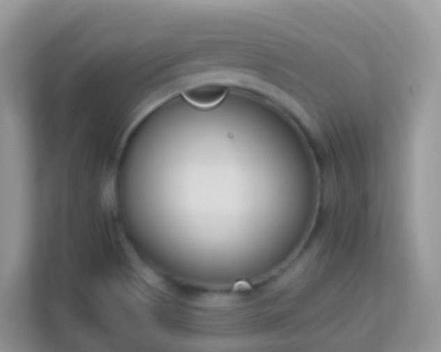 X0000114241513200910091458