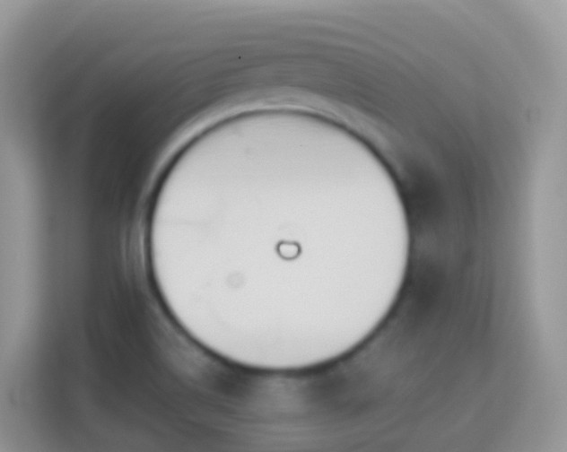 X0000114241514200910091458