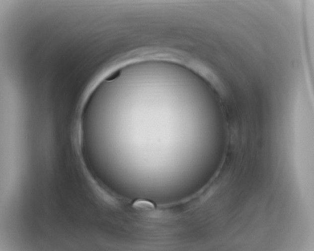 X0000114241520200910091458