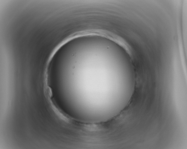 X0000114241524200910091458