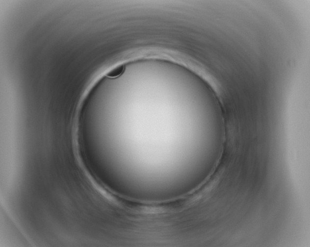 X0000114241525200910091458