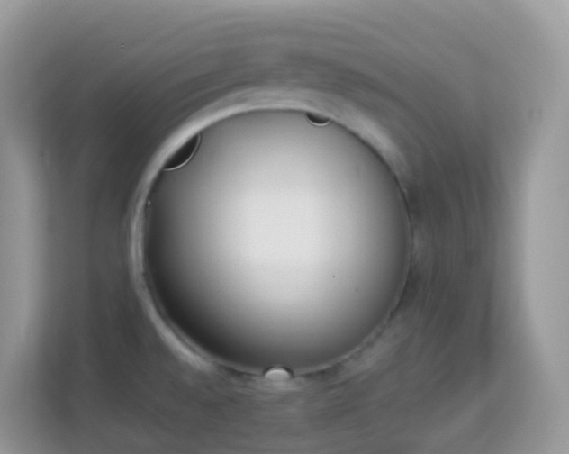 X0000114241528200910091458