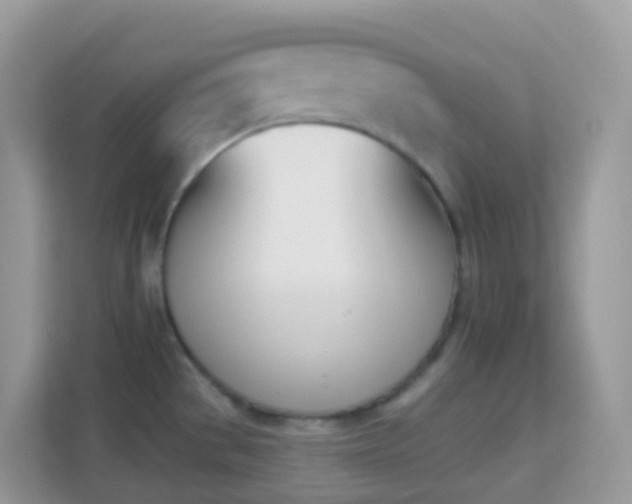 X0000114241529200910091458