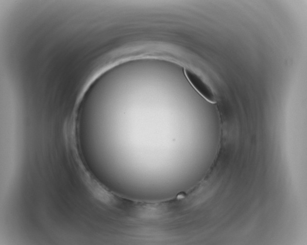 X0000114241530200910091458