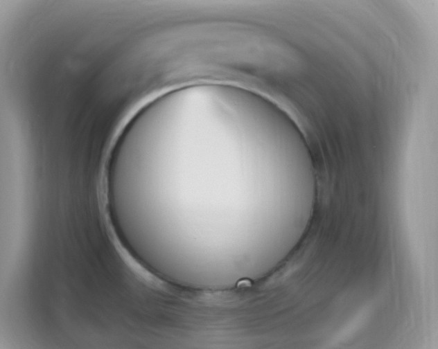 X0000114241531200910091458