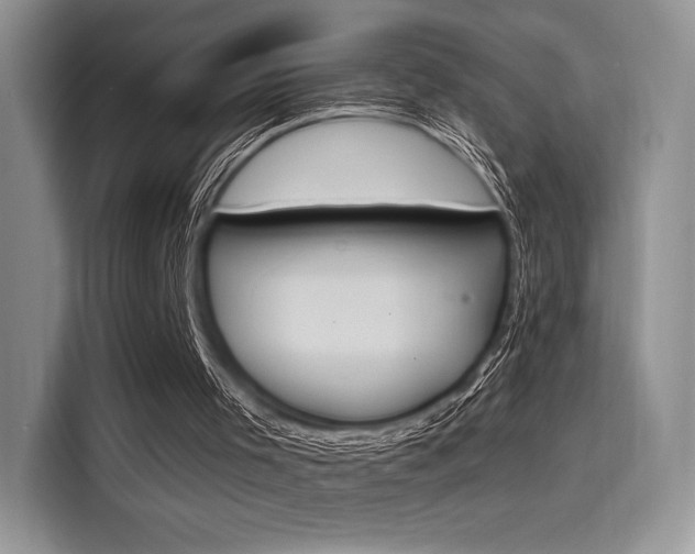 X0000114240001200910161644