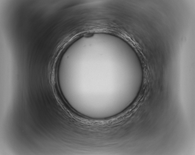 X0000114240002200910161644