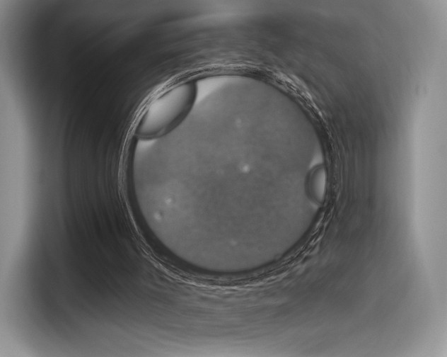 X0000114240003200910161644